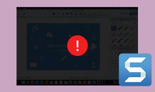 Snagit Black Screen