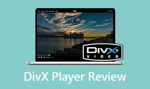 DivX 播放器评论