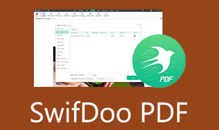 SwifDoo PDF 审查
